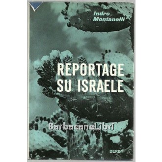 Montanelli Indro, Reportage su Israele, Derby, 1960