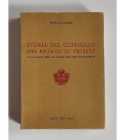 Storia del Consiglio dei Patrizi di Trieste dall'anno 1382 all'anno 1809. Con documenti