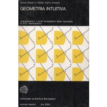 Hilbert David, Cohn-Vossen Stefan, Geometria intuitiva, Boringhieri, 1972